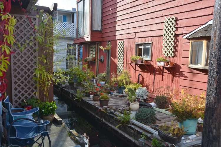 boathouse with plants